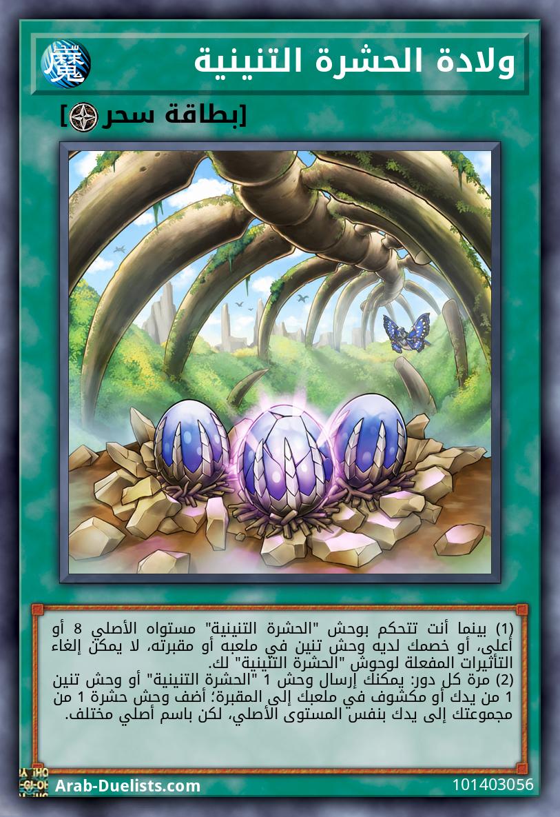 ولادة الحشرة التنينية