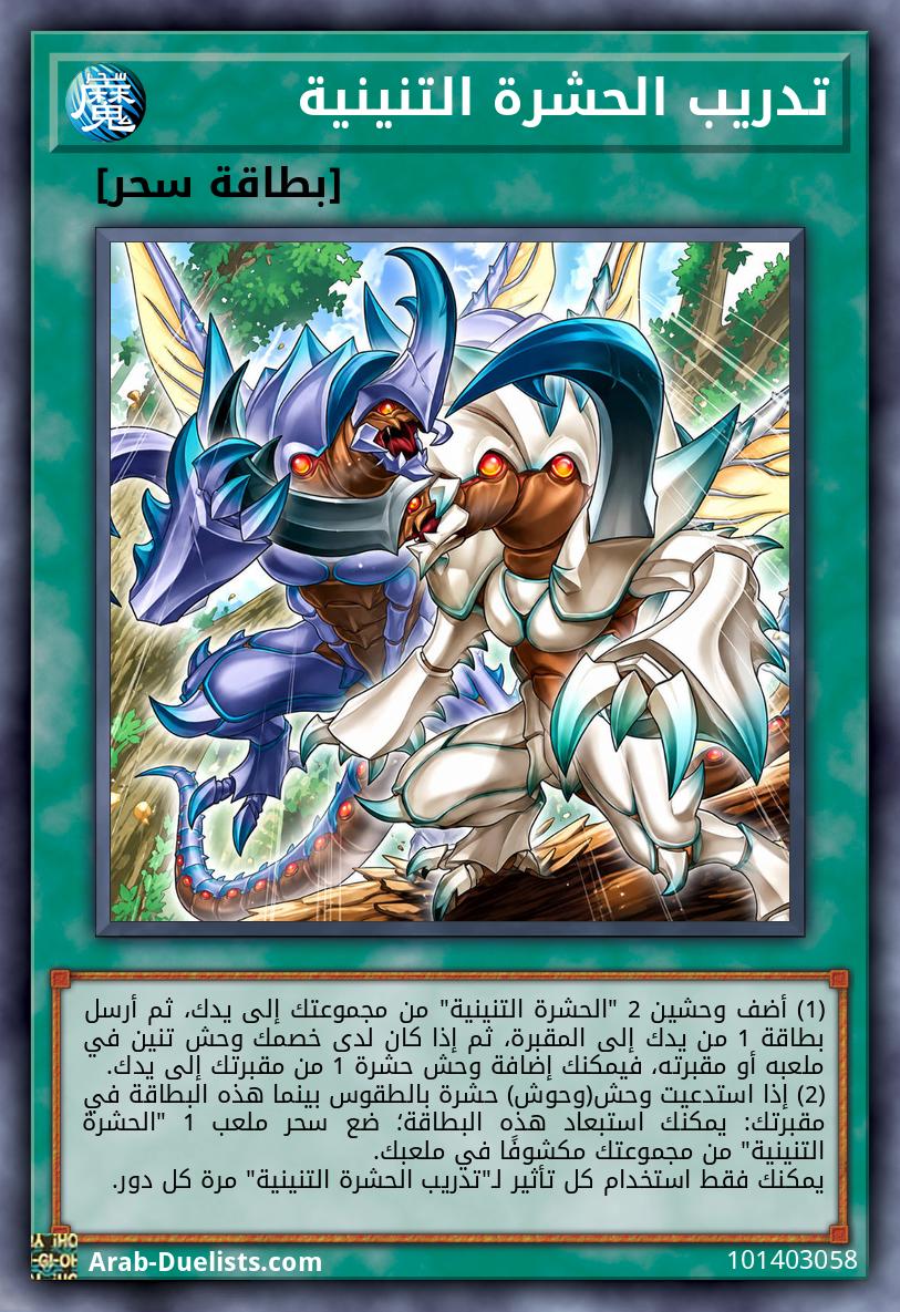 تدريب الحشرة التنينية