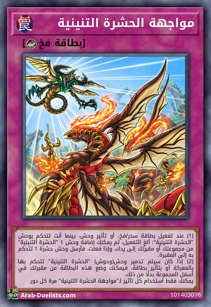 مواجهة الحشرة التنينية