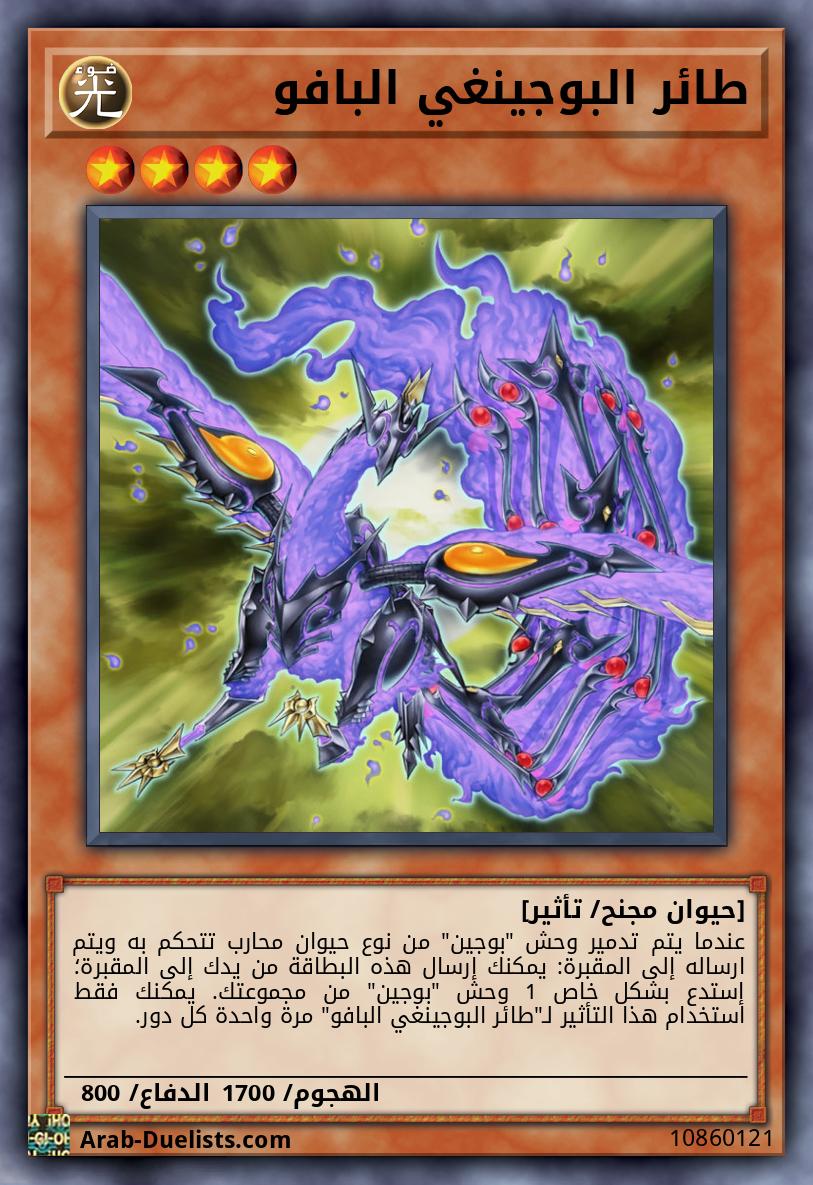 طائر البوجينغي البافو