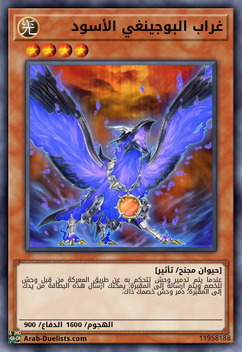 غراب البوجينغي الأسود