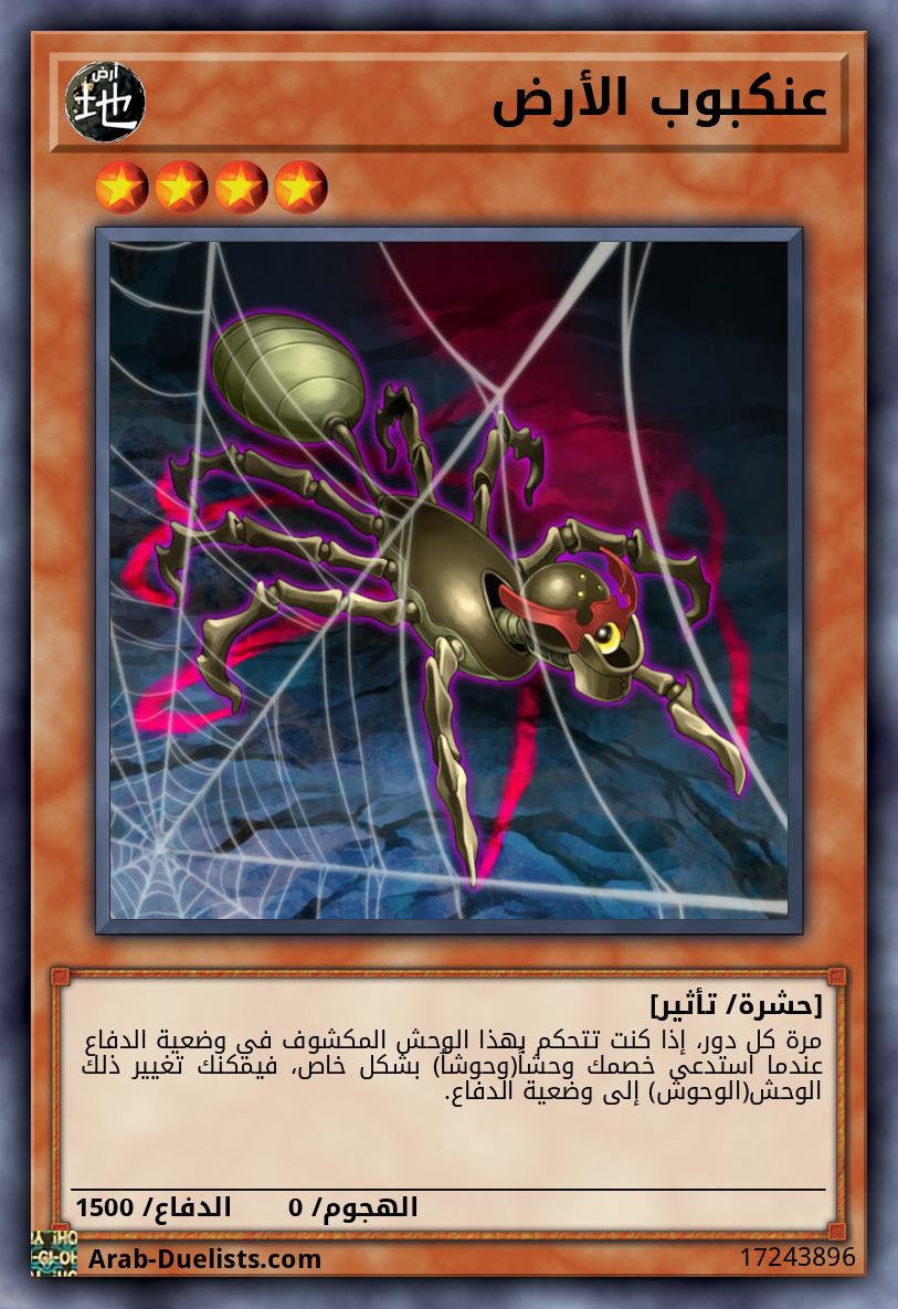 عنكبوب الأرض