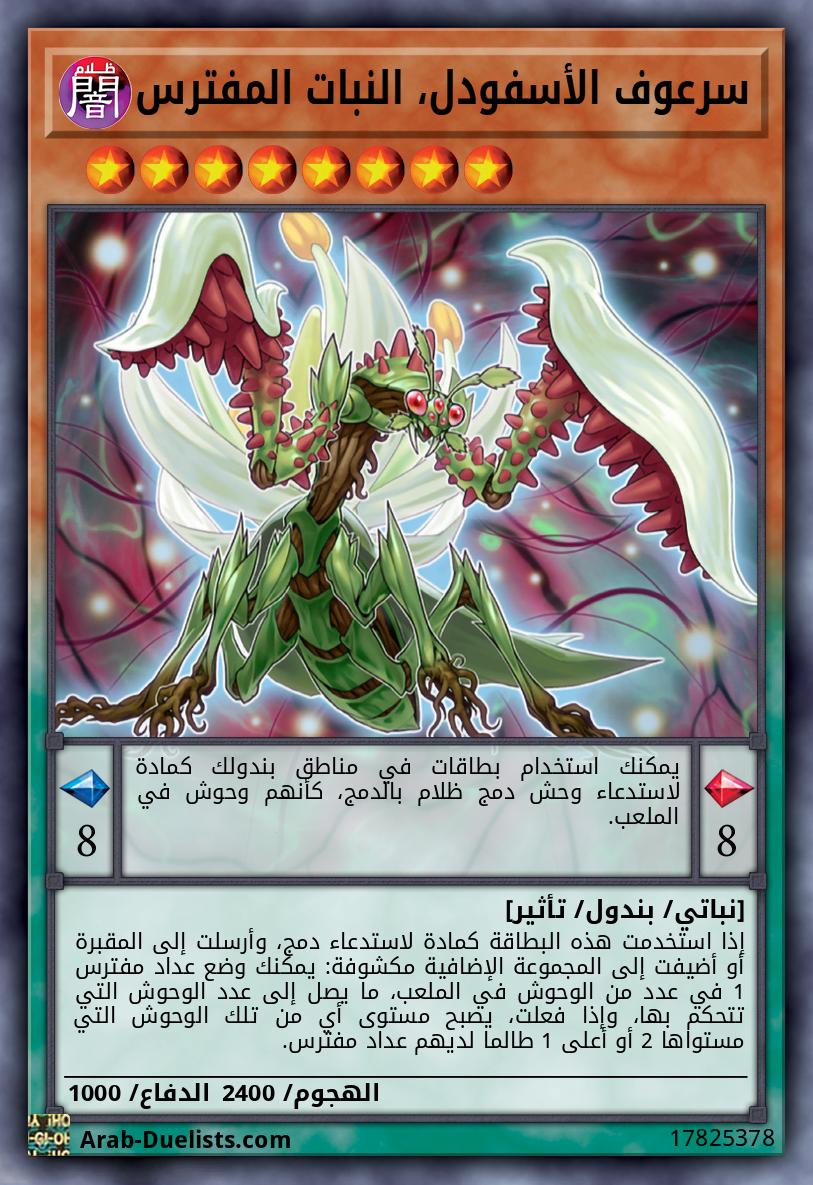سرعوف الأسفودل، النبات المفترس