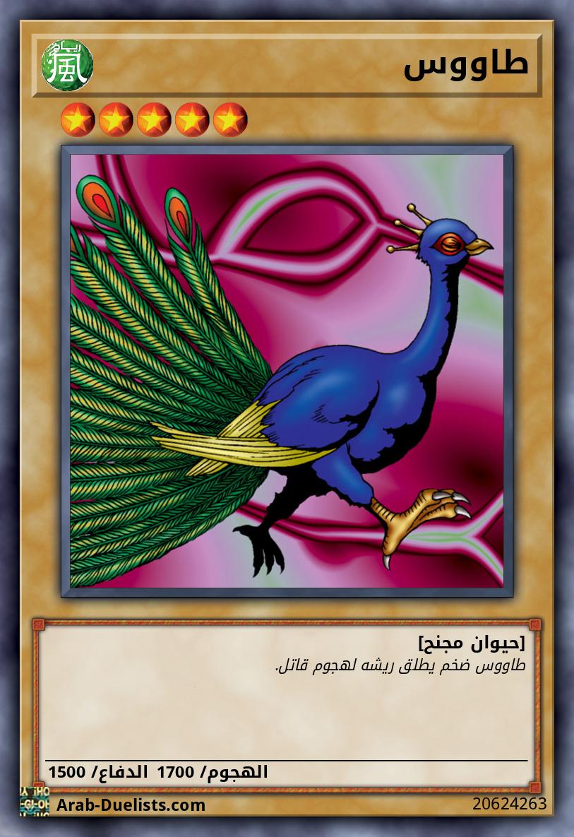 طاووس