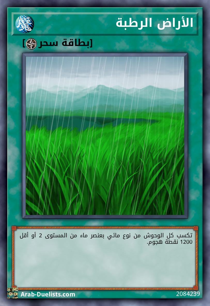 الأراض الرطبة