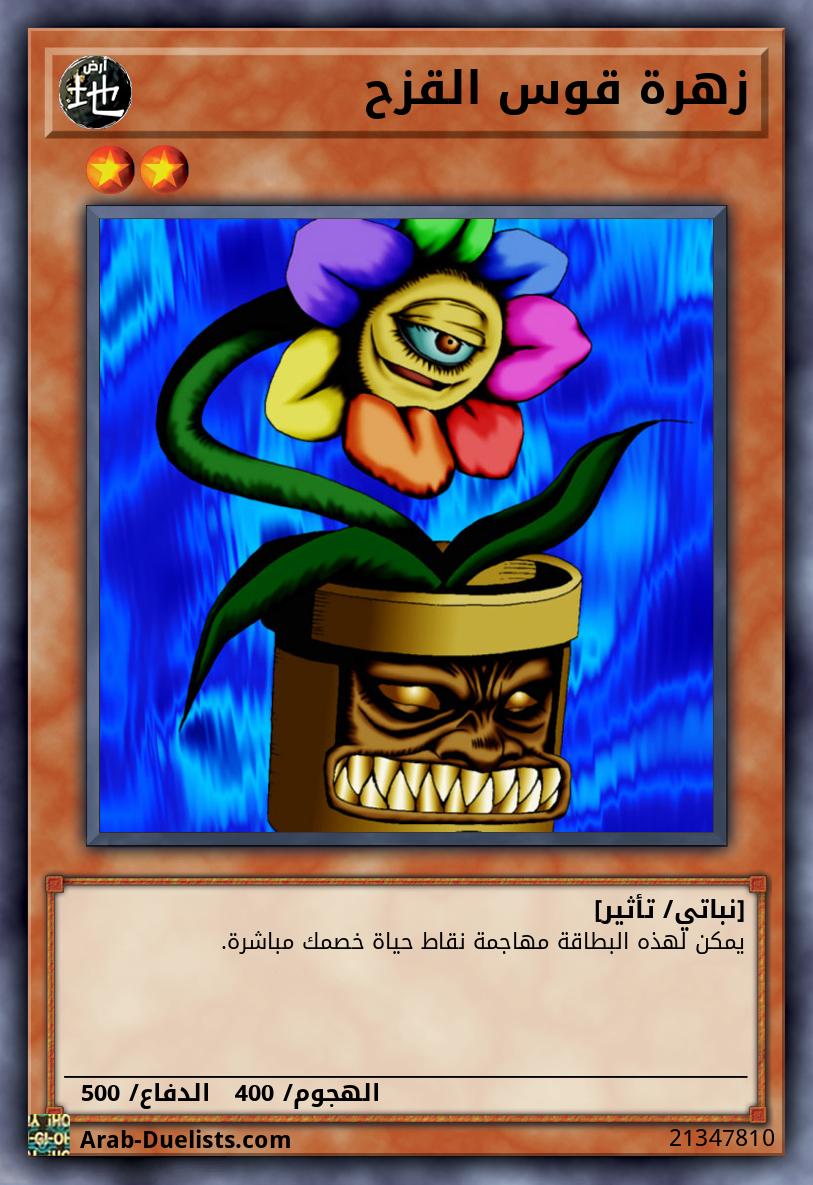 زهرة قوس القزح
