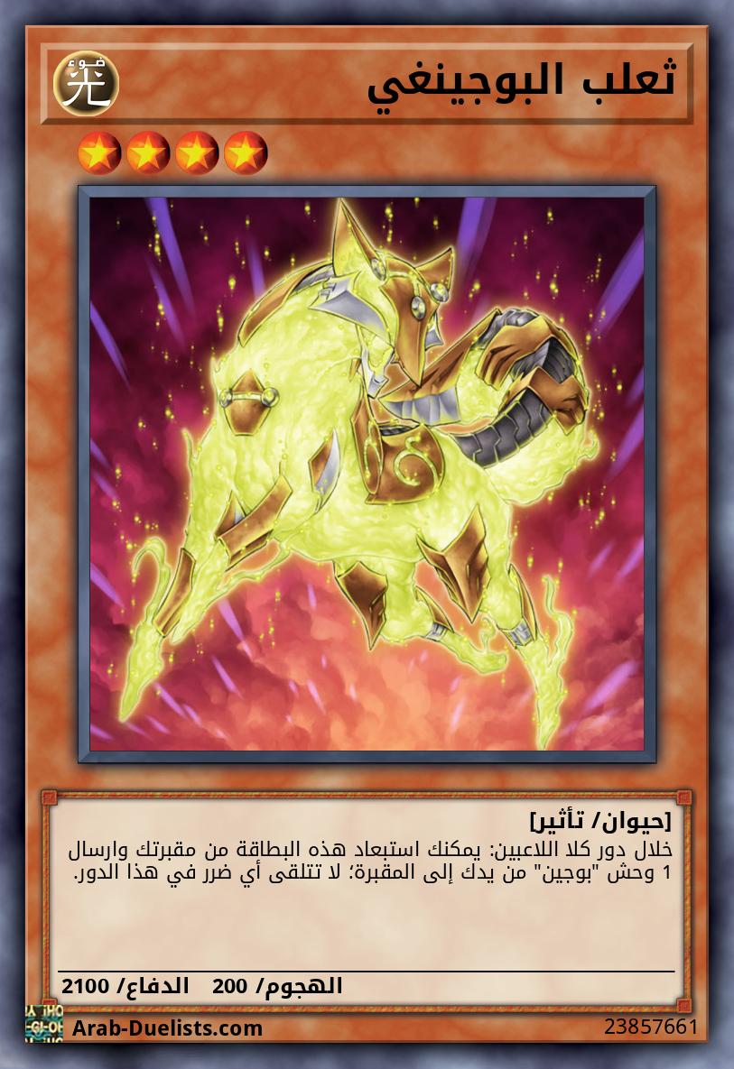 ثعلب البوجينغي