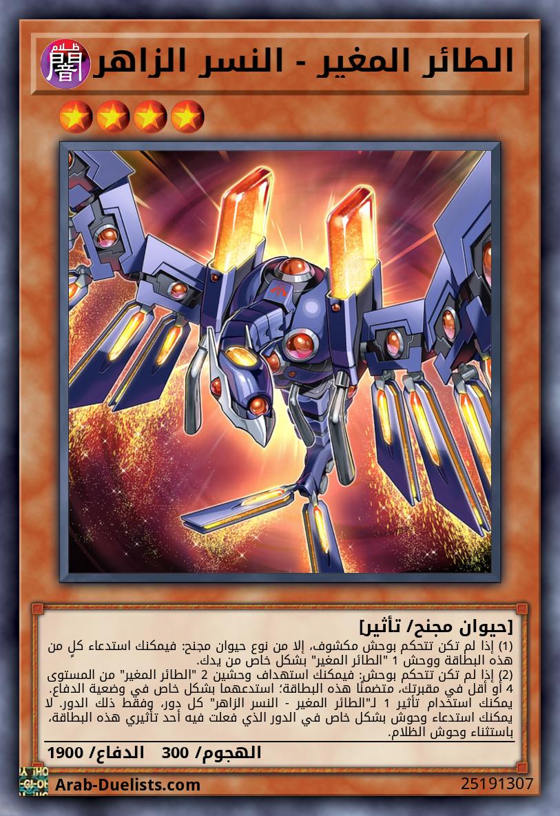 الطائر المغير - النسر الزاهر