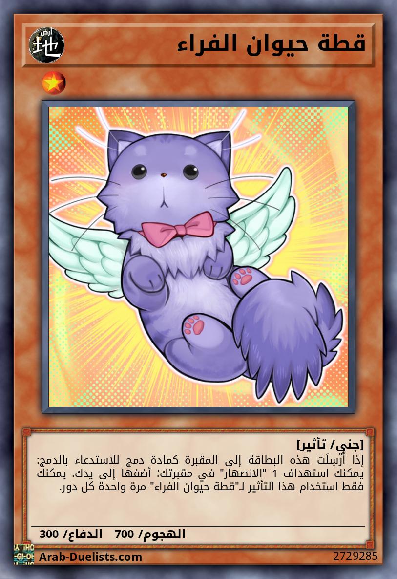 قطة حيوان الفراء