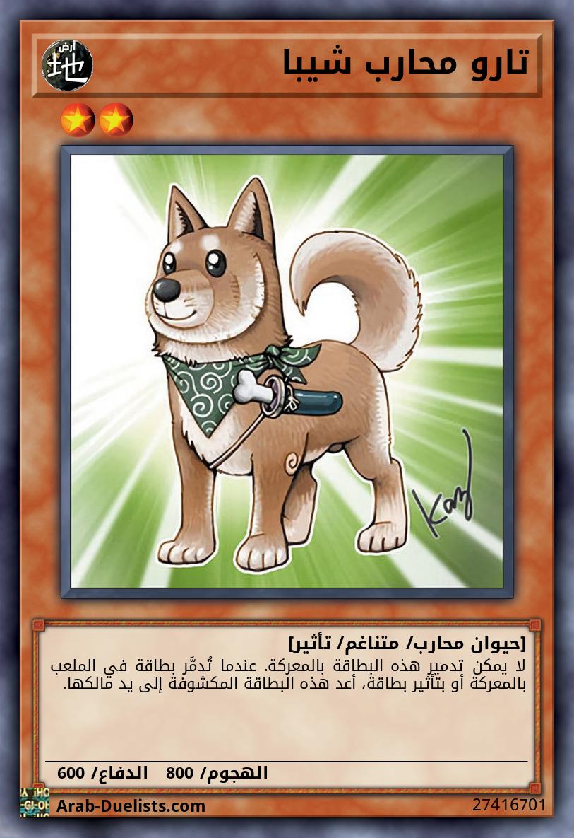 تارو محارب شيبا