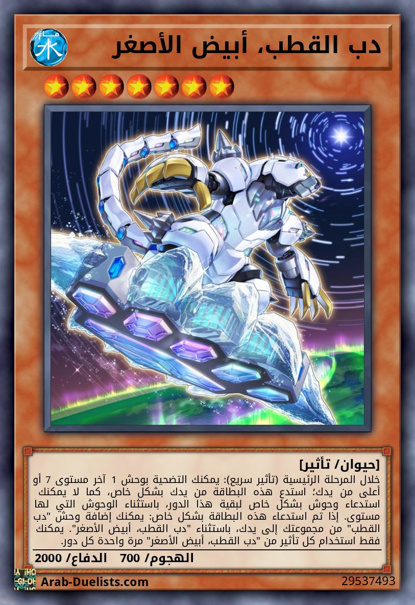 دب القطب، أبيض الأصغر