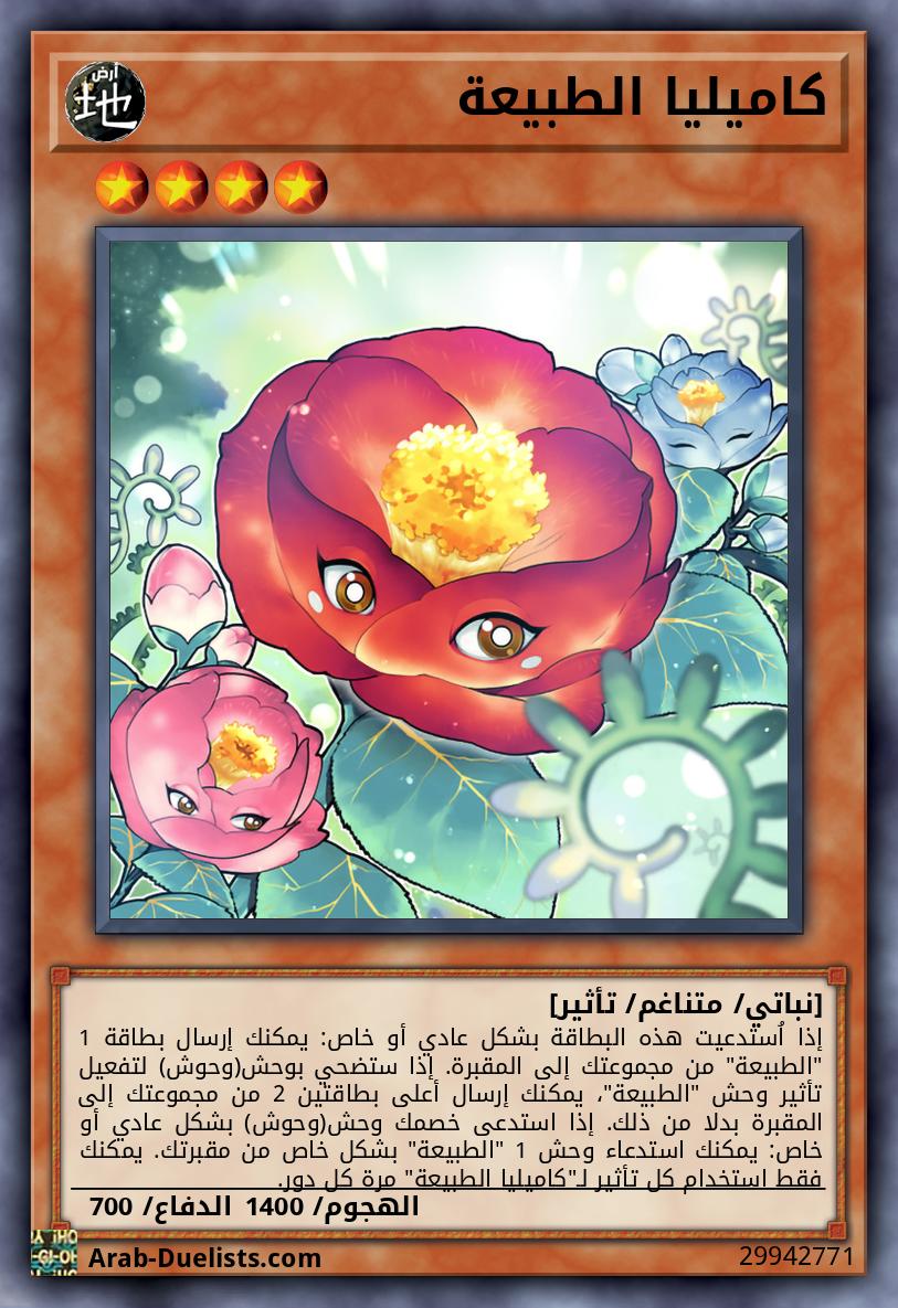 كاميليا الطبيعة