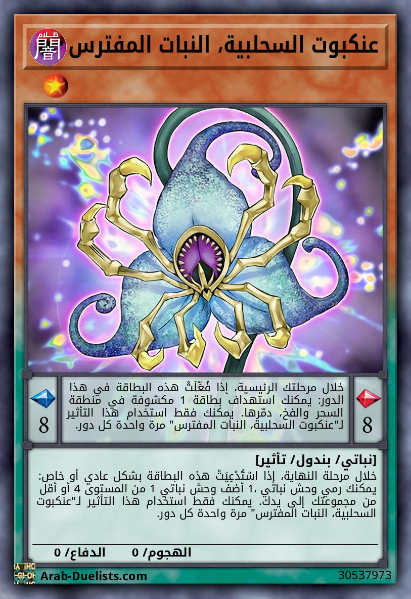 عنكبوت السحلبية، النبات المفترس