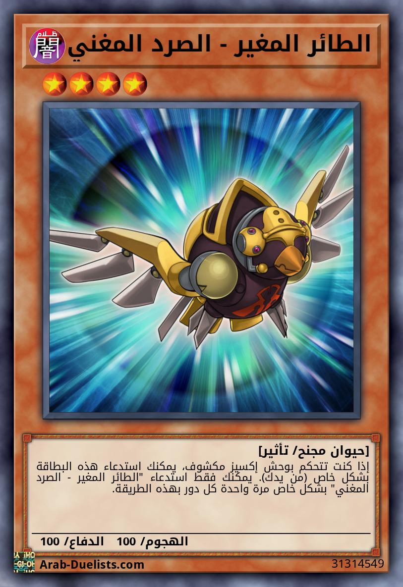 الطائر المغير - الصرد المغني