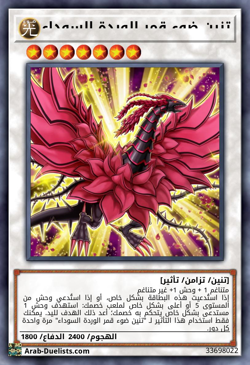 تنين ضوء قمر الوردة السوداء