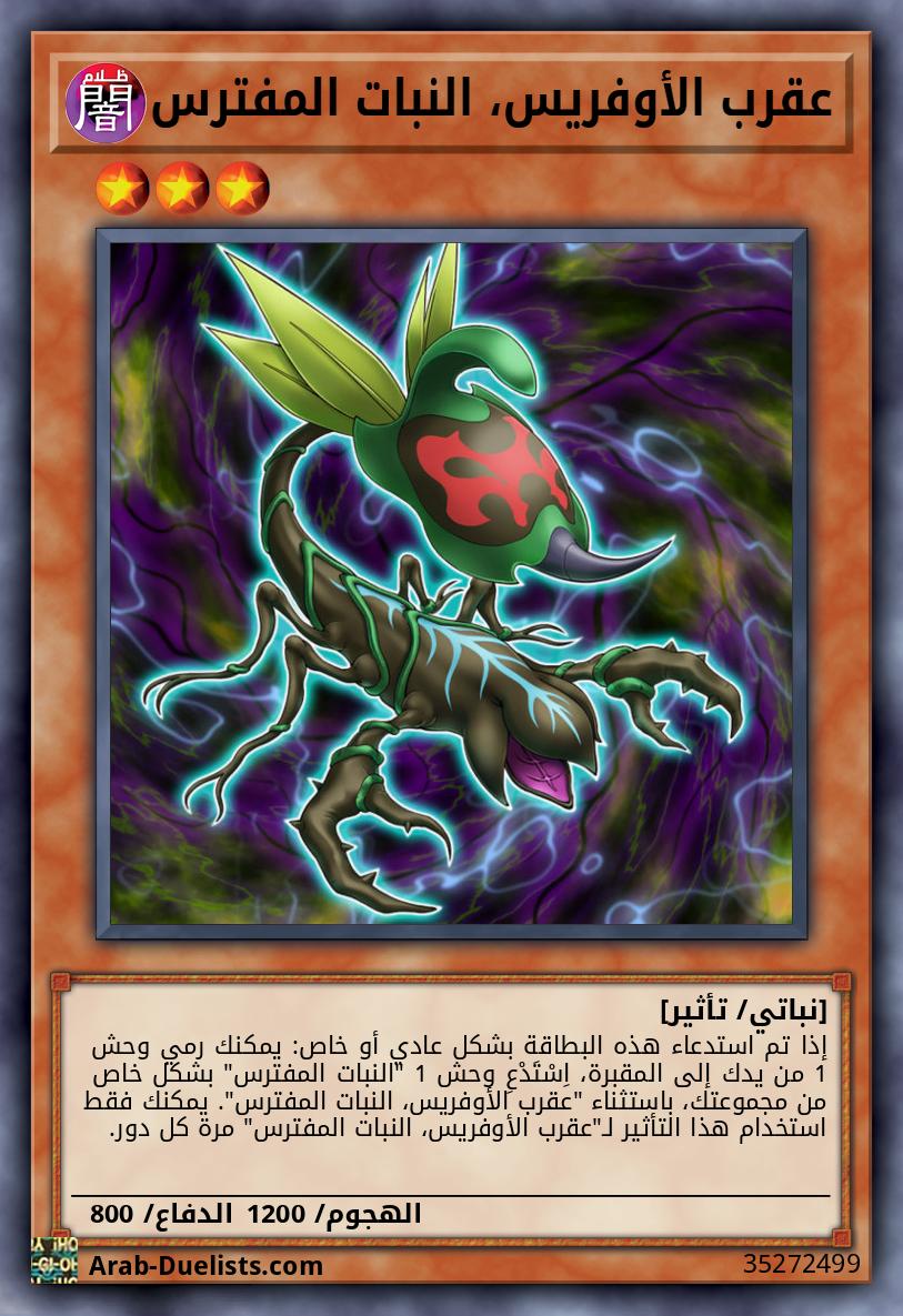 عقرب الأوفريس، النبات المفترس