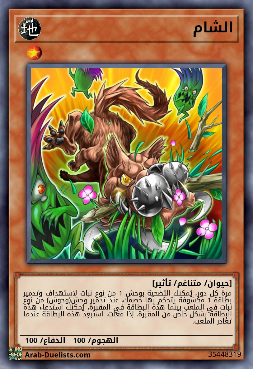 الشام