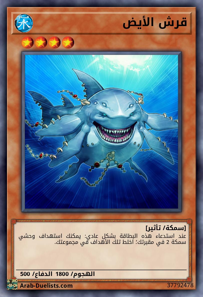 قرش الأيض