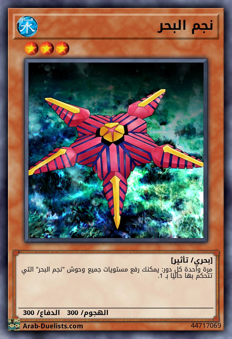 نجم البحر