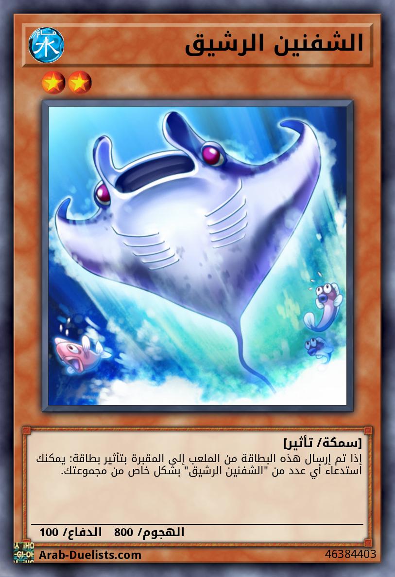 الشفنين الرشيق