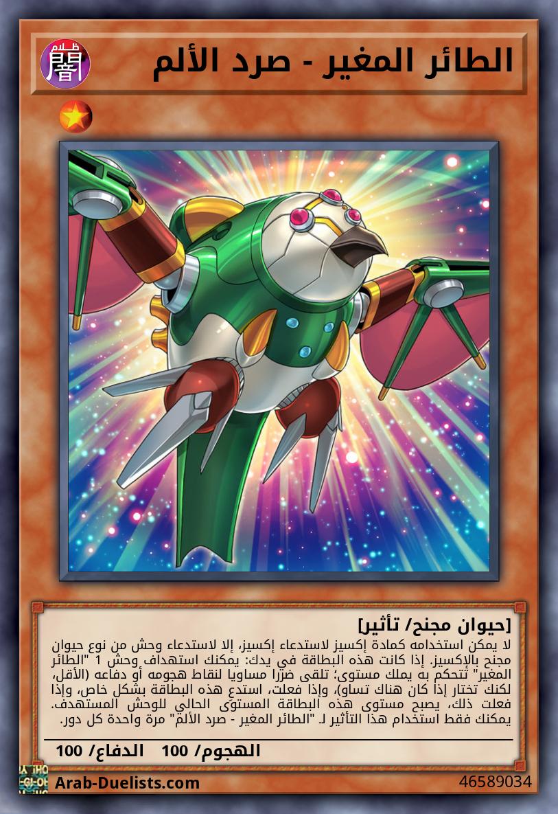الطائر المغير - صرد الألم