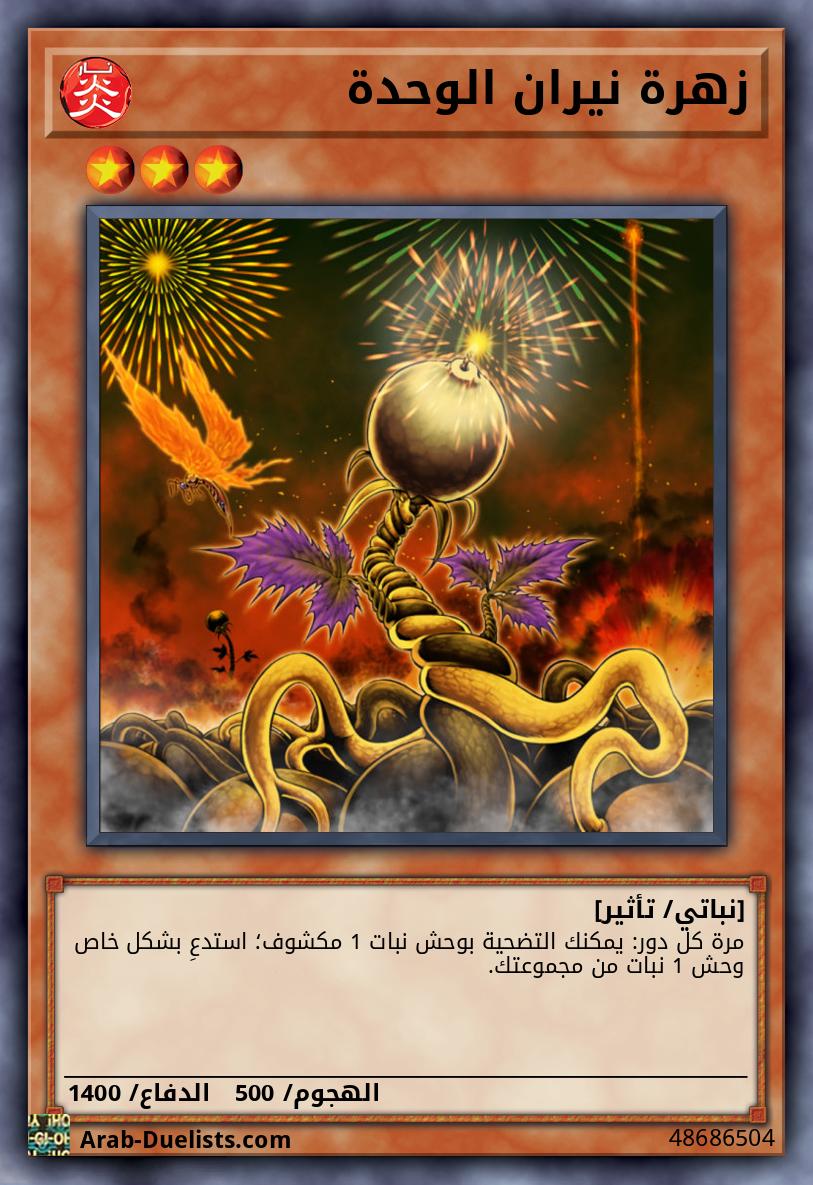 زهرة نيران الوحدة