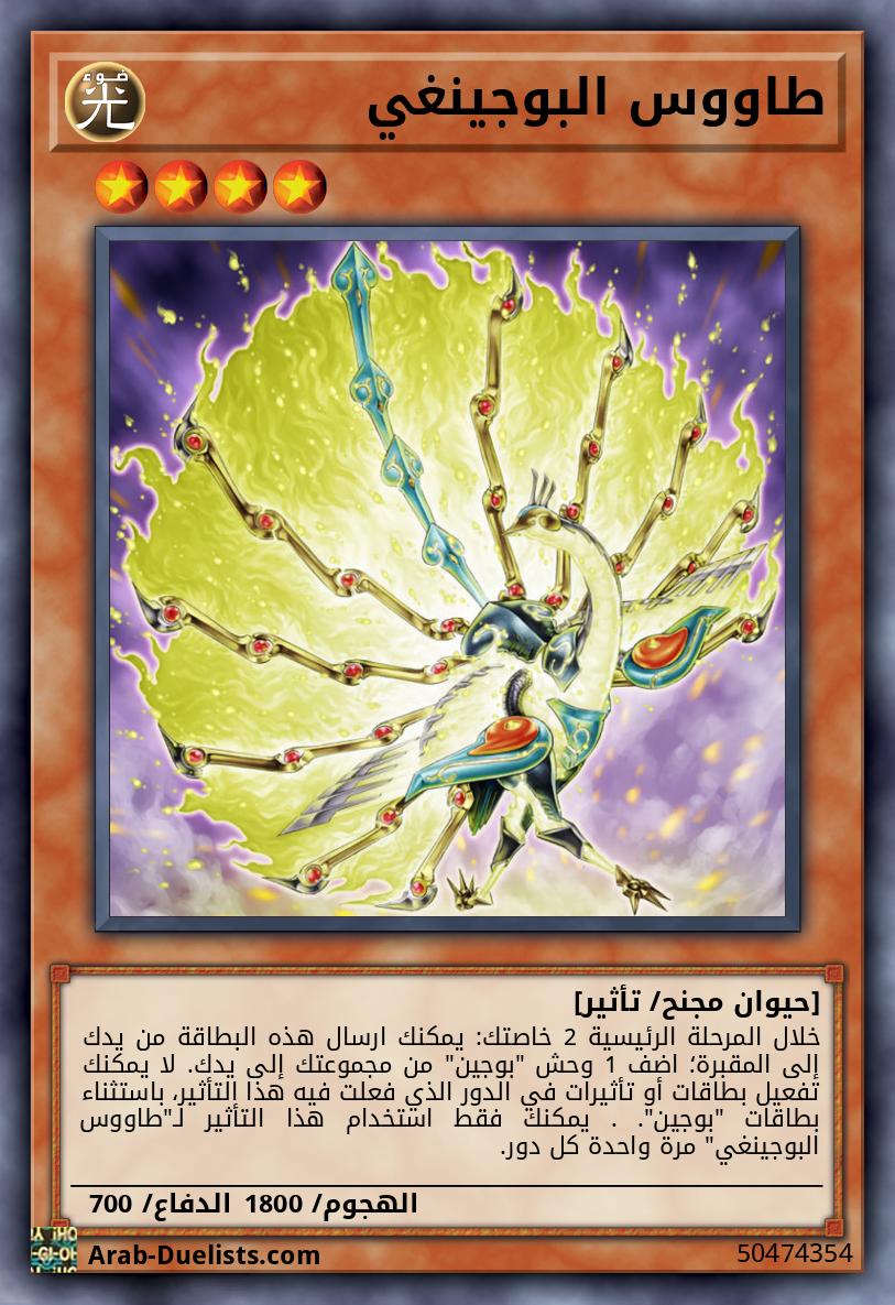 طاووس البوجينغي