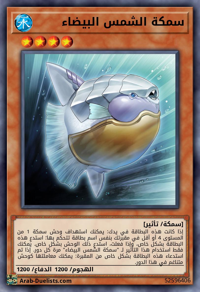 سمكة الشمس البيضاء