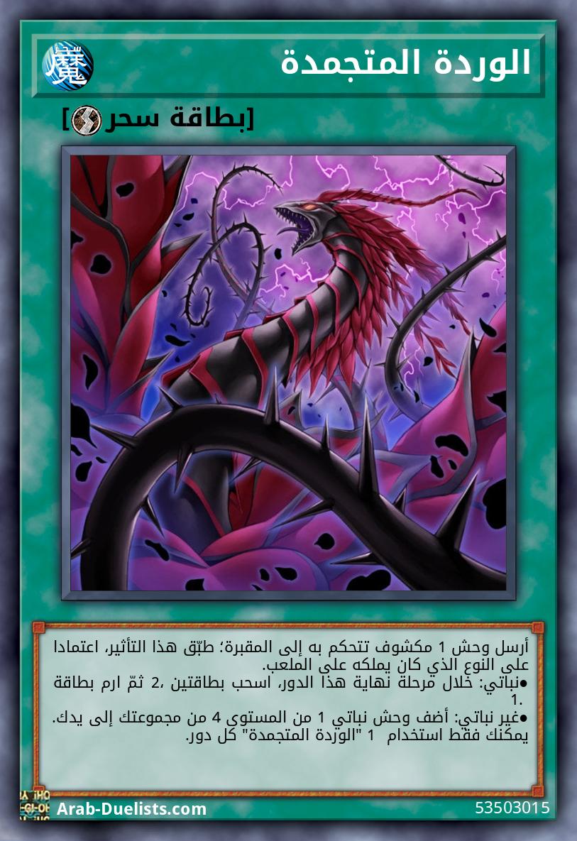 الوردة المتجمدة