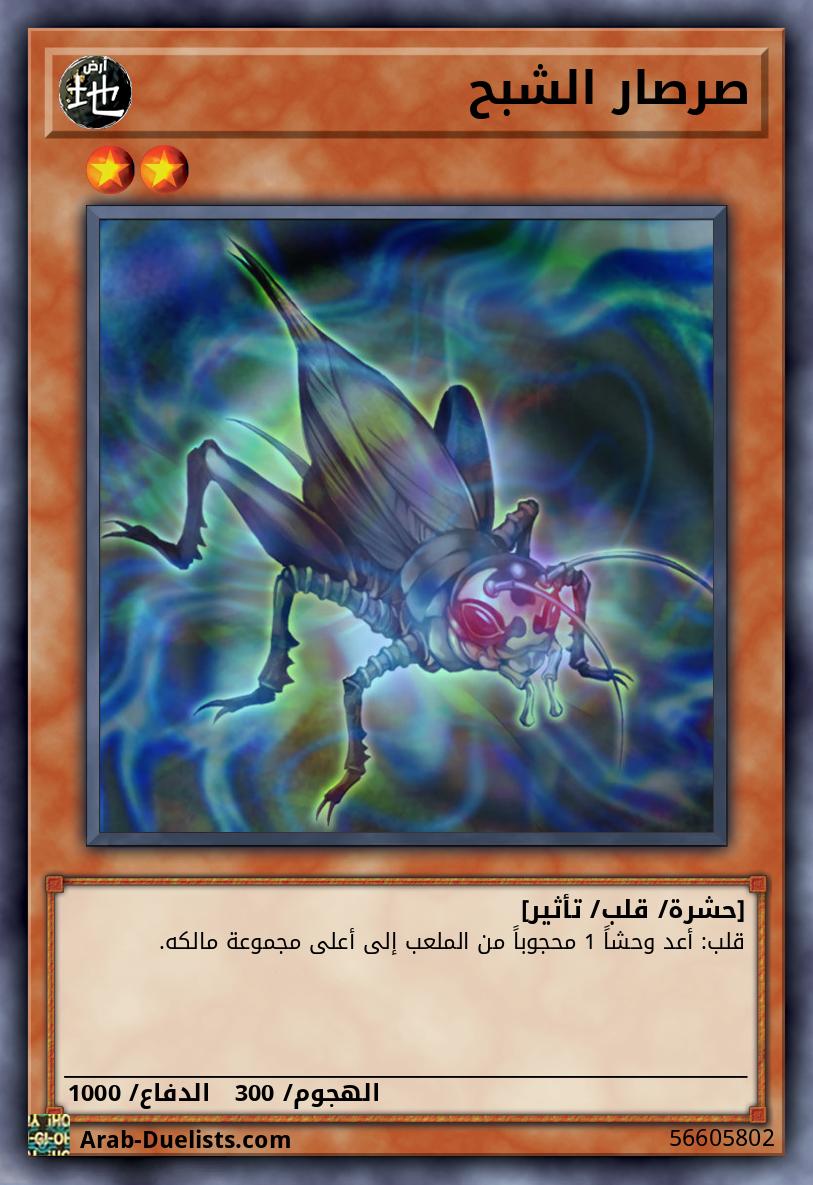 صرصار الشبح