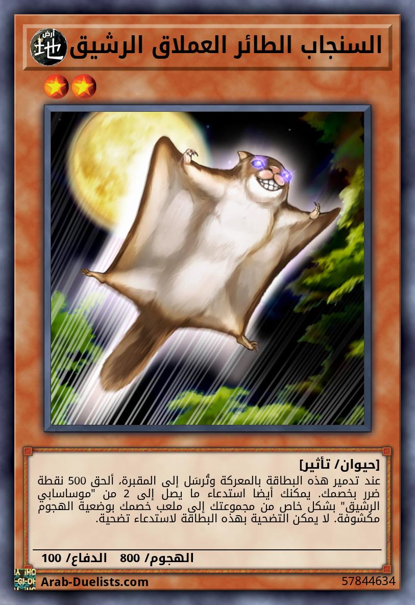 السنجاب الطائر العملاق الرشيق