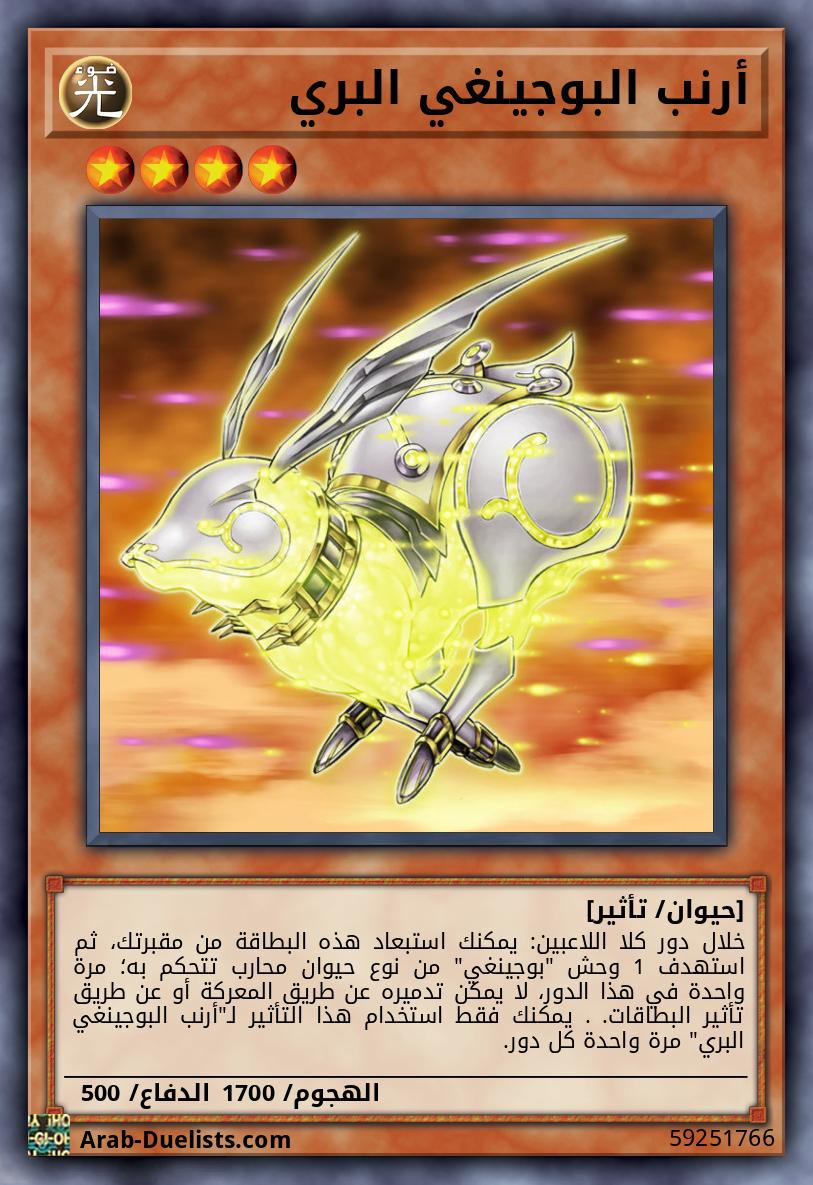 أرنب البوجينغي البري