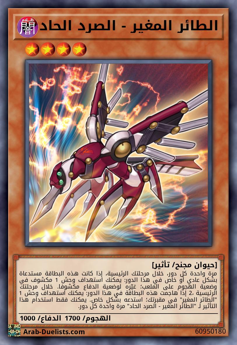 الطائر المغير - الصرد الحاد