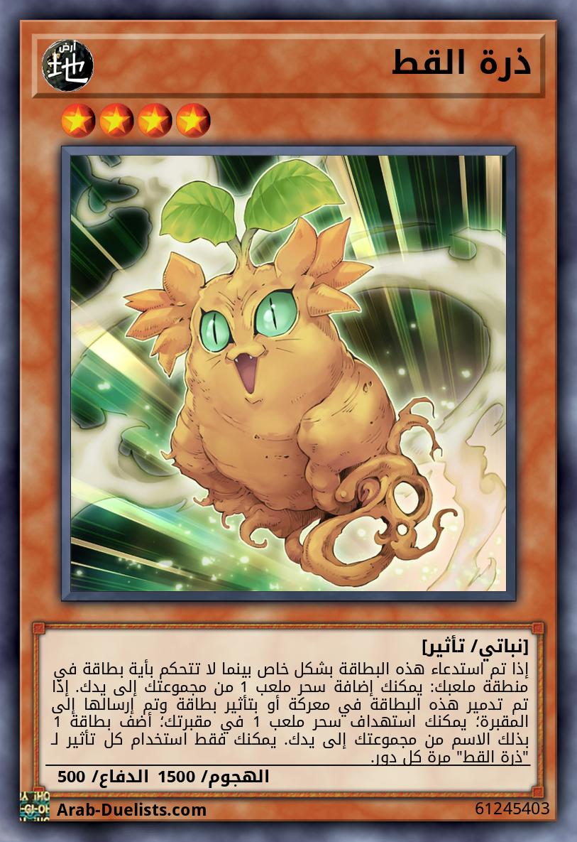 ذرة القط