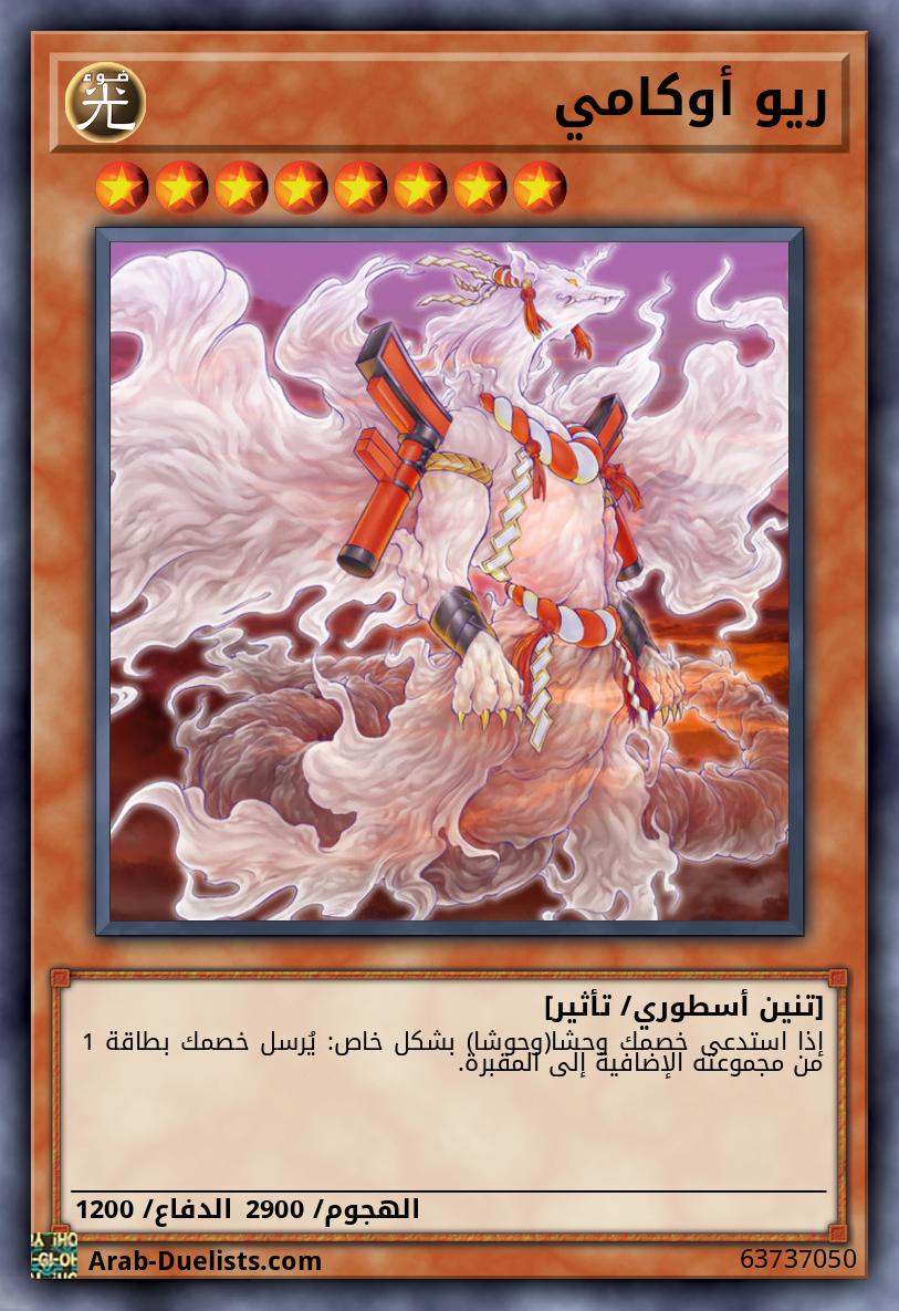ريو أوكامي
