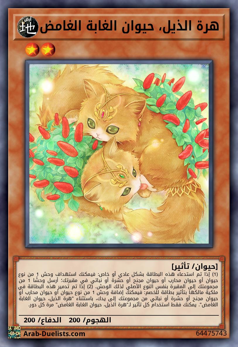 هرة الذيل، حيوان الغابة الغامض