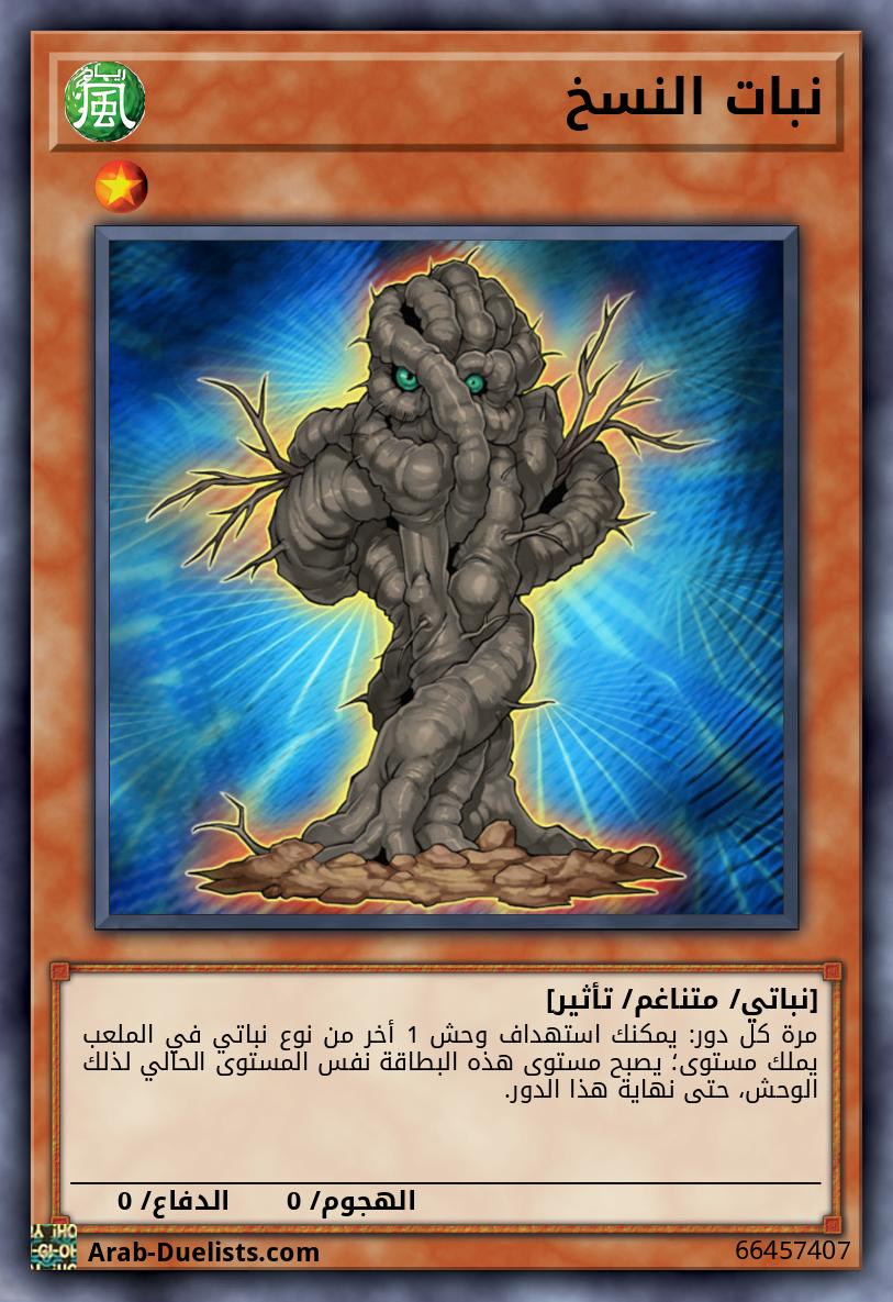 نبات النسخ