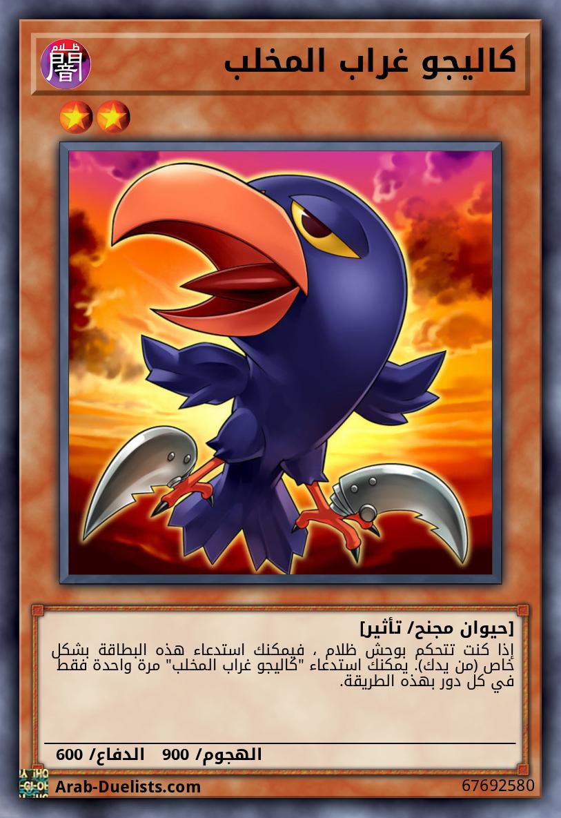 كاليجو غراب المخلب