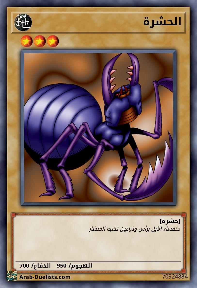 الحشرة