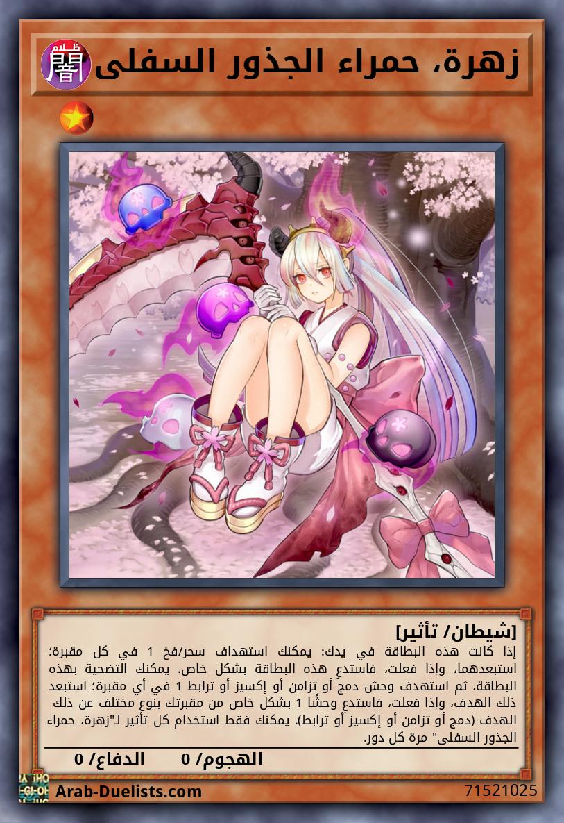زهرة، حمراء الجذور السفلى