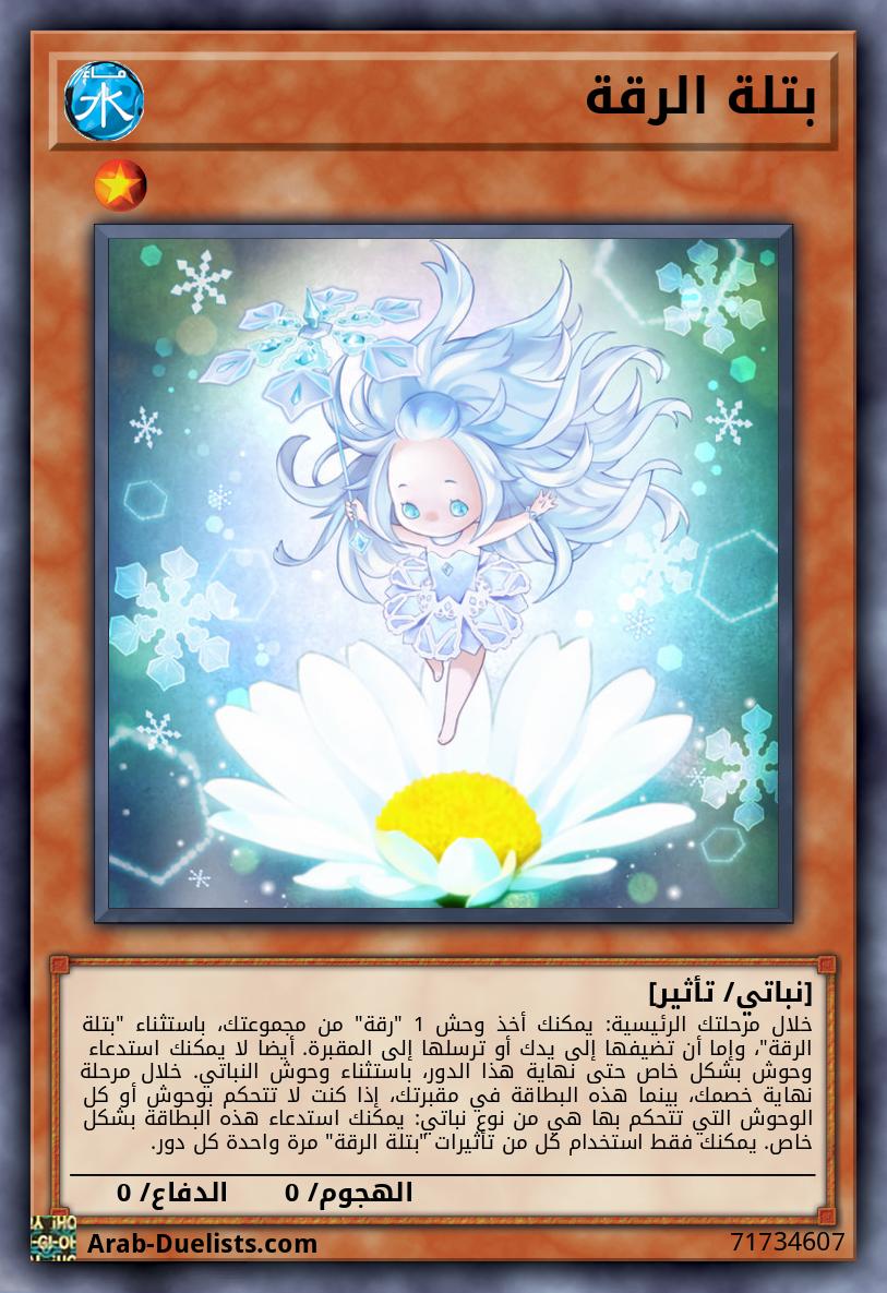 بتلة الرقة