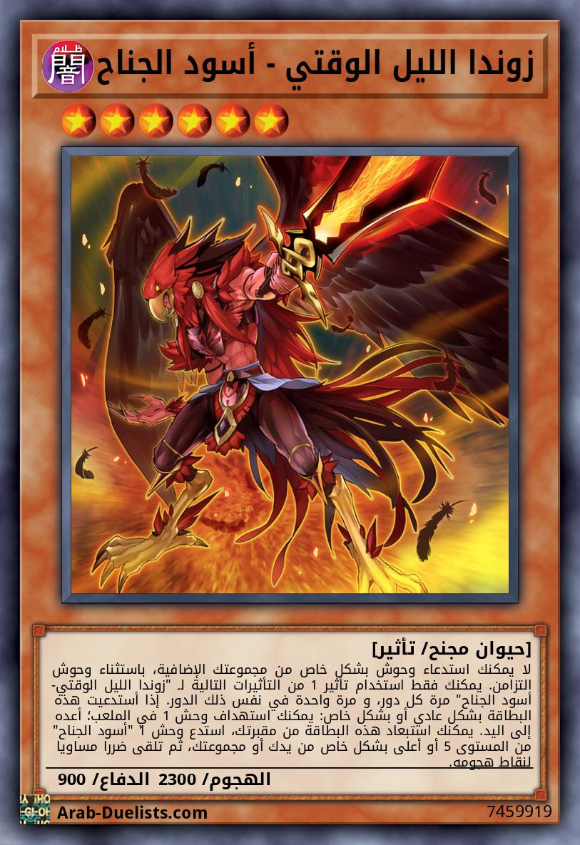 زوندا الليل الوقتي - أسود الجناح