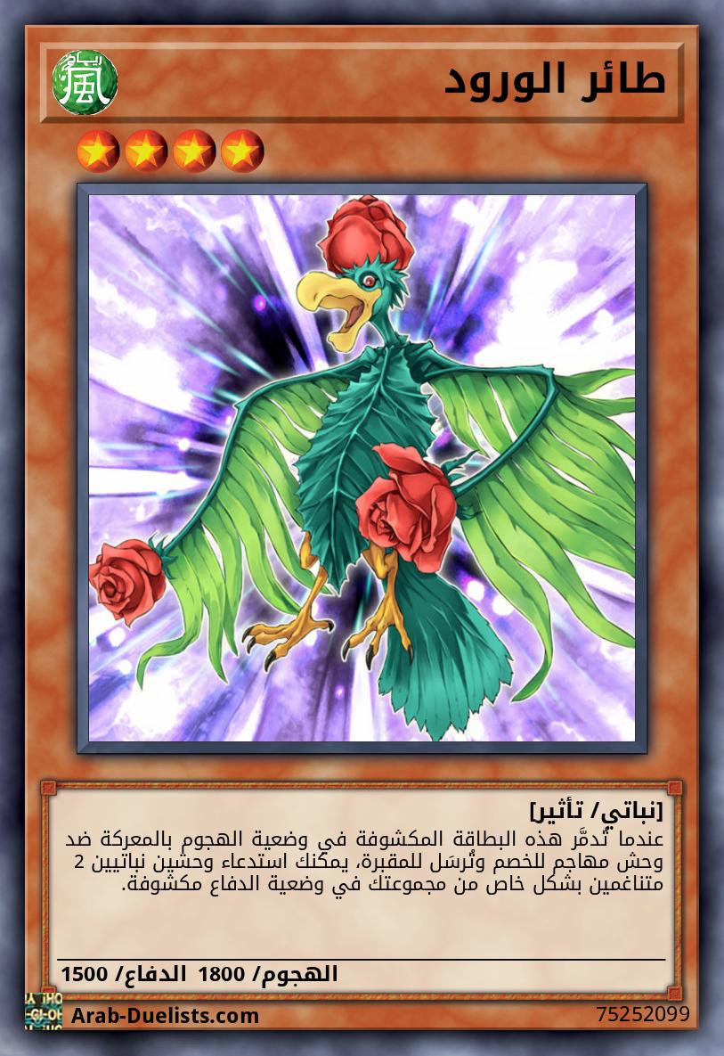 طائر الورود