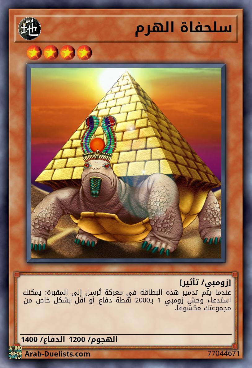 سلحفاة الهرم 
