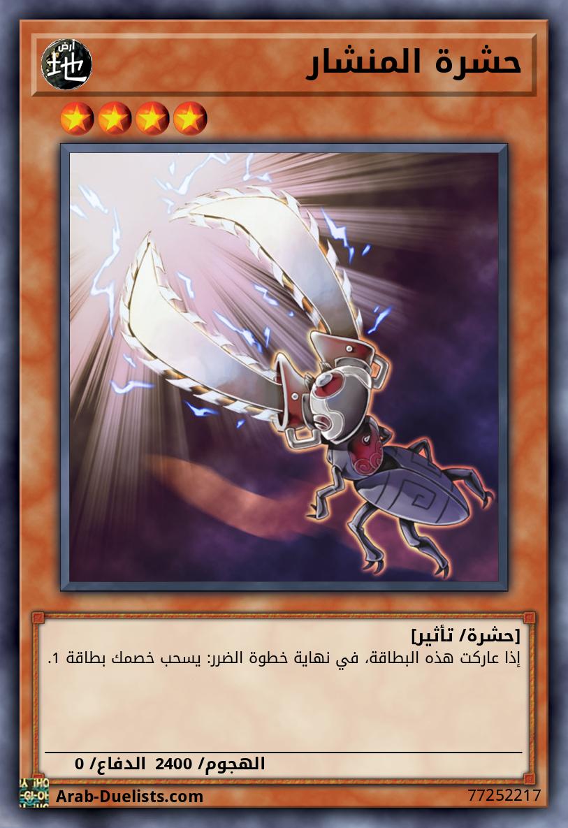 حشرة المنشار