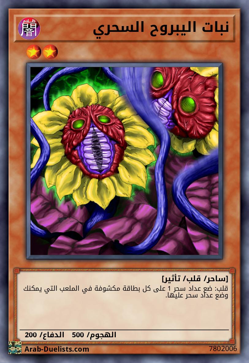 نبات اليبروح السحري 