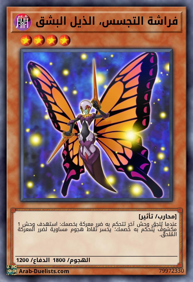 فراشة التجسس، الذيل البشق 