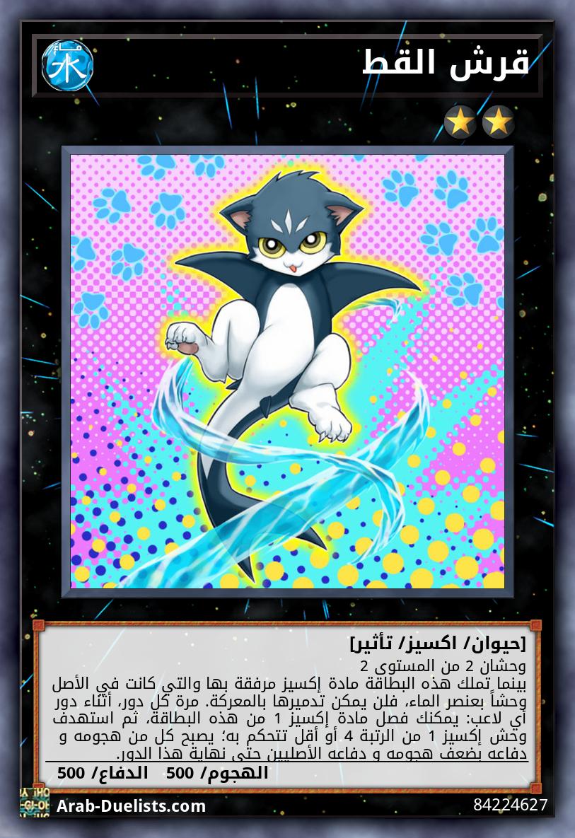 قرش القط