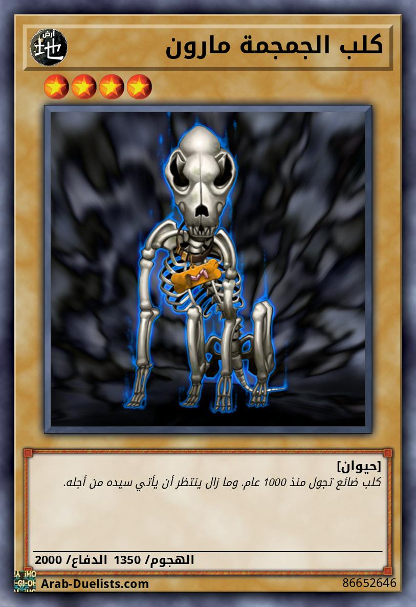كلب الجمجمة مارون
