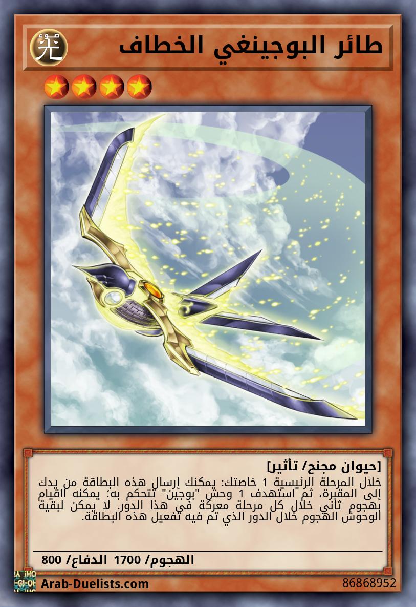 طائر البوجينغي الخطاف